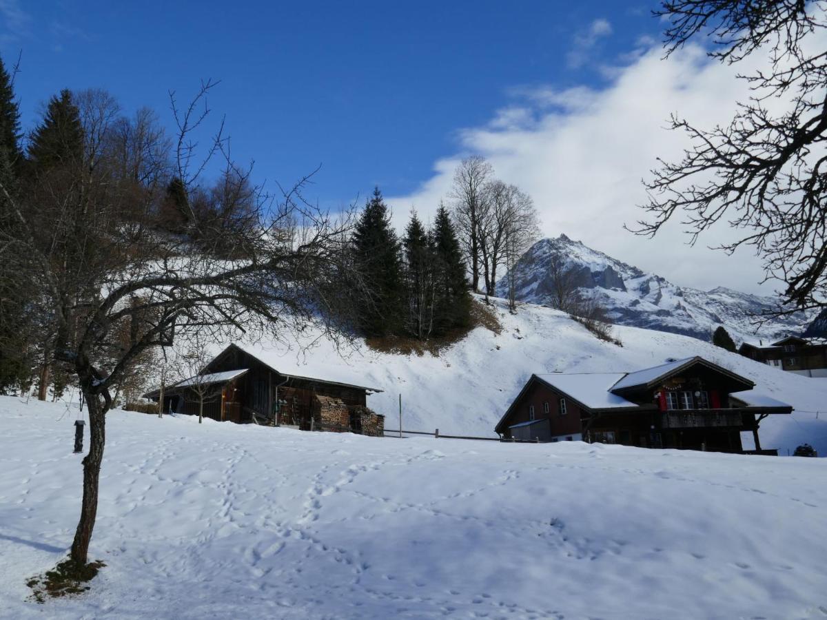 Apartment Chalet Schwendihus-6 By Interhome Grindelwald Exterior foto
